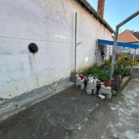 Casa Lenu & Lian Hotel Sighisoara Exterior photo